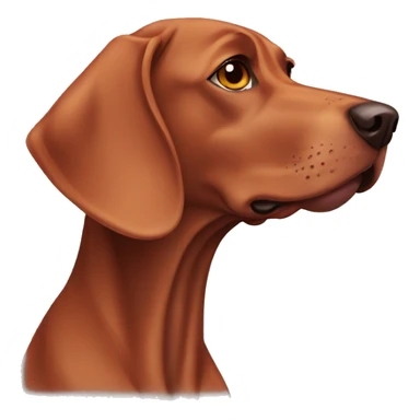 Viszla dog sticker