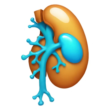 human kidney sticker