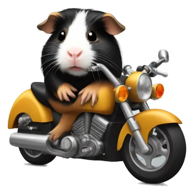 Black and tan guinea pig on motorcycle  sticker