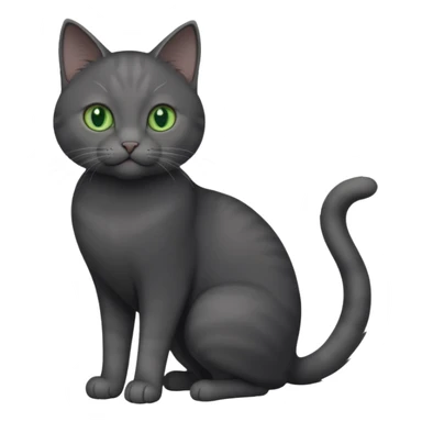 full body gorgeous solid dark grey cat with green eyes, white paws and white whiskers playing sticker