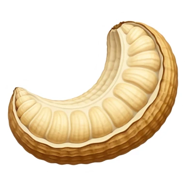 a curve peanut in rough beige textured shells sticker