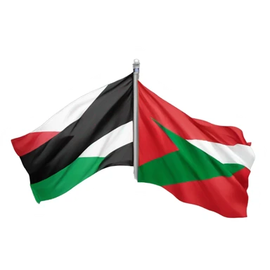 Palestine flag next to Morocco flag sticker