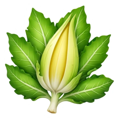 Endive Riccia Cuor D'Oro  sticker