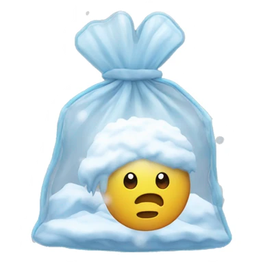 Snow in a see through bag sticker