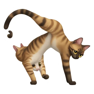 A cat doing a handstand  sticker