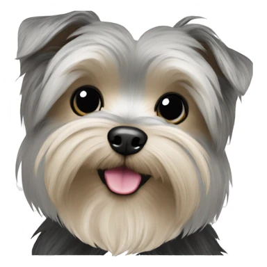 grey and black morkie full sticker