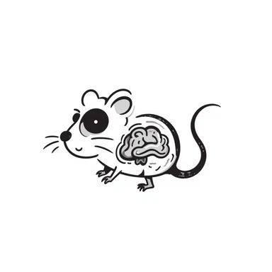 a rat with a visible brain, hand drawn doodle style sticker