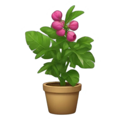 planta de romero sticker