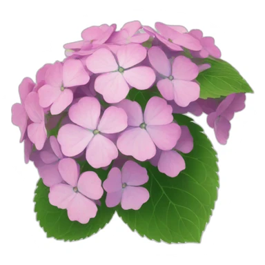 flower hydrangea japan sticker