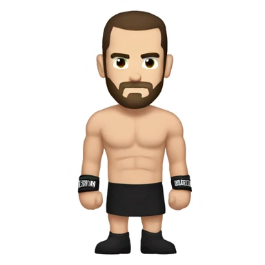 CM Punk Arm logo  sticker