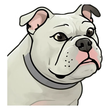 Bulldog branco  sticker