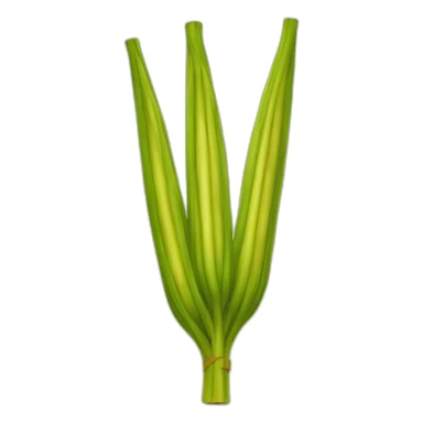 Lulav etrog hadassim aravot sukkot sticker