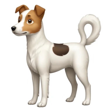 a full body large white parson russell looking dog the size of a kelpie with light brown ears and a light brown patch on one eye and a large snout sticker