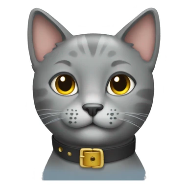 Gray cat with a collar sticker