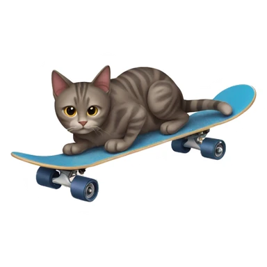 Cat with skateboard  sticker