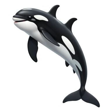 orca whale sticker