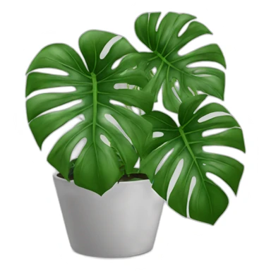 Plante monstera pas contente   sticker
