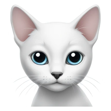 White cat with black ears looking in front  sticker