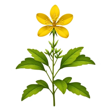 St. John's Wort sticker