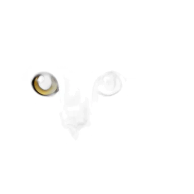 Norwegian forest cat sticker