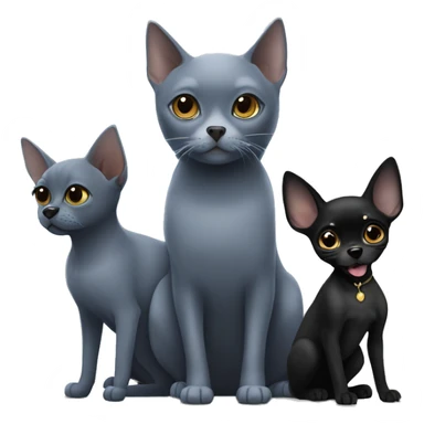 a big russian blue cat and two small black chihuahuas sticker