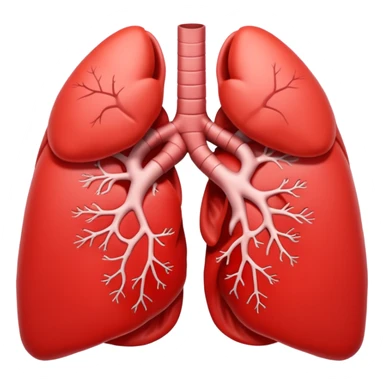 very simple not realistic lungs emoji sticker