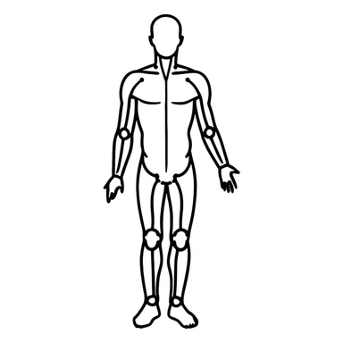 human body silhouette, standing, anatomical illustration sticker