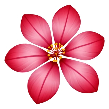 Red 5 heart-shape petal sakura sticker