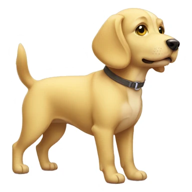 Dog with Yellow short, exploring the world sticker