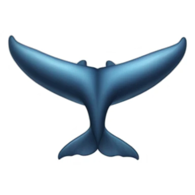 Whale tail sticker