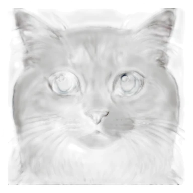 ragdoll cat blue eyes sticker