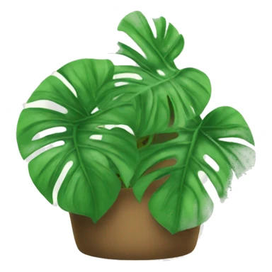 Monstera plants sticker