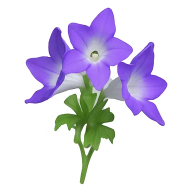 Campanula sticker