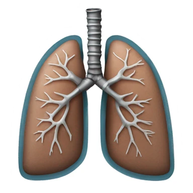 Lungs with right lung reinforced using metal sticker