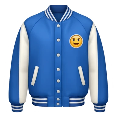 vatsity jacket


 sticker