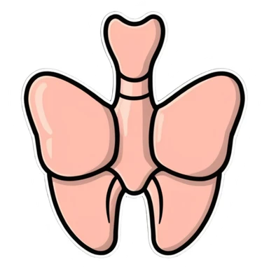 cartoon style thyroid gland, simple and friendly sticker