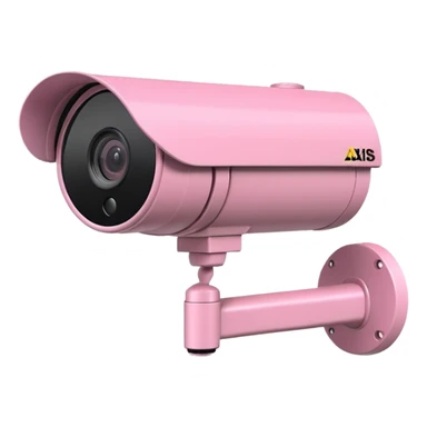 Security Camera pink Axis P1346-E sticker