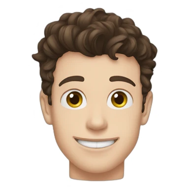 shawn mendes sticker