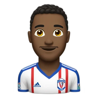 Olympique lyonnais sticker