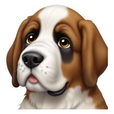 Puppy Saint Bernard with white ear sticker