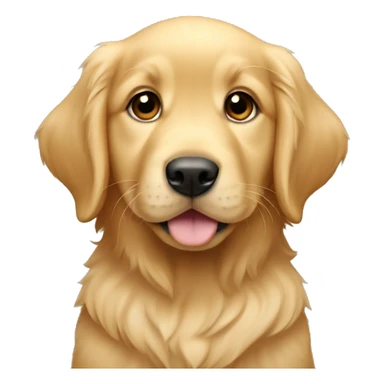Golden retriever puppy sticker