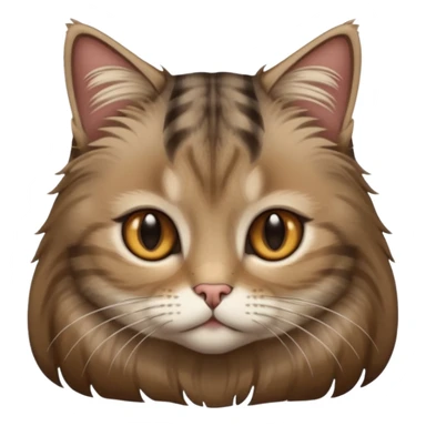 Britisch Long hair Cat in light Brown Gary with dark Brown Strip and light brown eyes  sticker