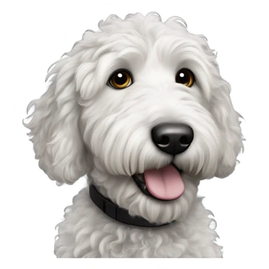 Black and white goldendoodle  sticker