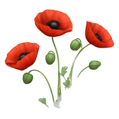 three red poppies with stems sticker
