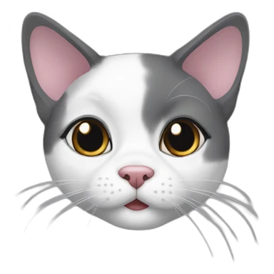 older round diluted calico, white chin, black and pink nose, grey ears, grey and white sticker