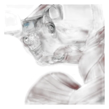 Mercedes Benz c220d red interior sticker