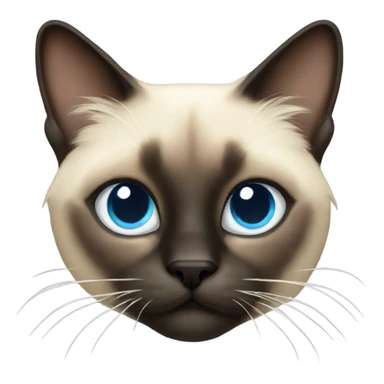 Siamese long hair cat  sticker