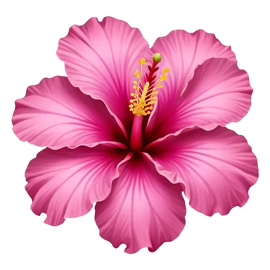 hibiscus flower pink sticker