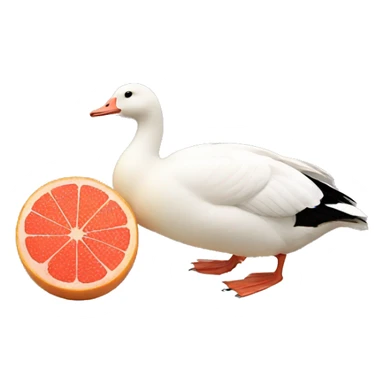 Goose and a grapefruit  sticker