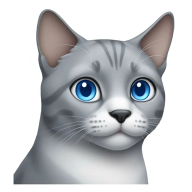 grey cat with blue eyes  sticker